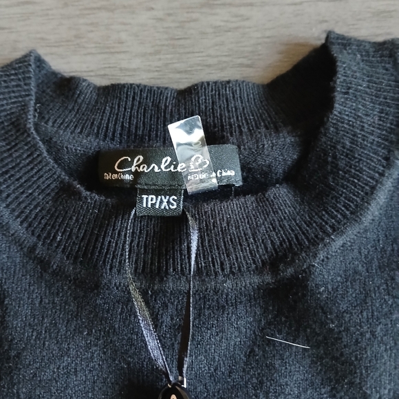 Charlie B Sweater NWT Size Xs - Picture 3 of 3
